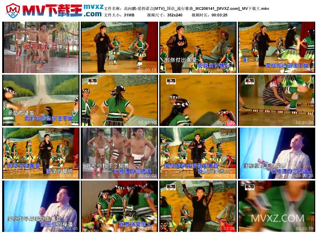 高向鹏-爱的诺言(MTV)_国语_流行歌曲_MC206141